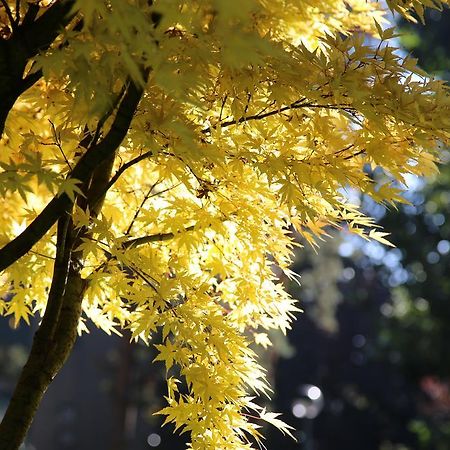 밀라노 Bilocale Indipendente 아파트 외부 사진